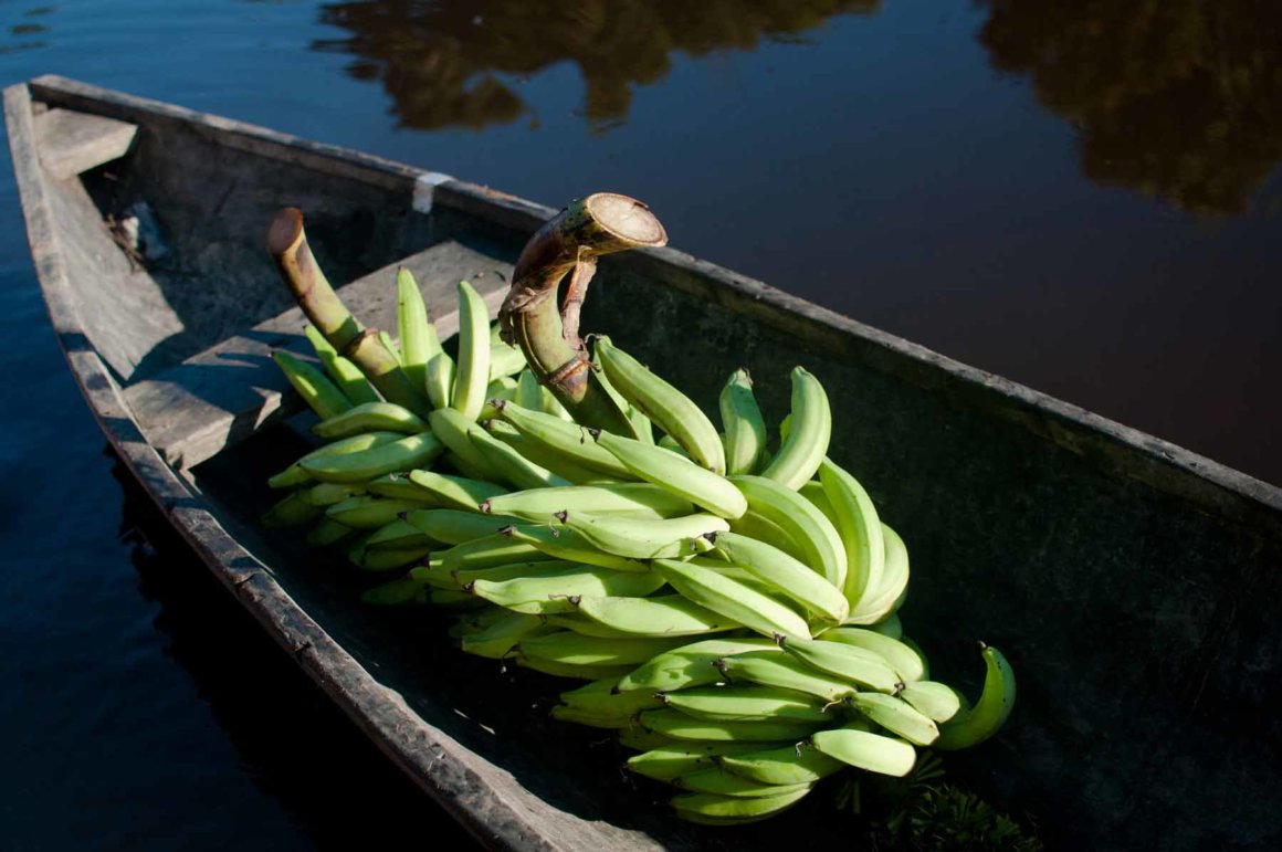 The Agora School for Global Leadership