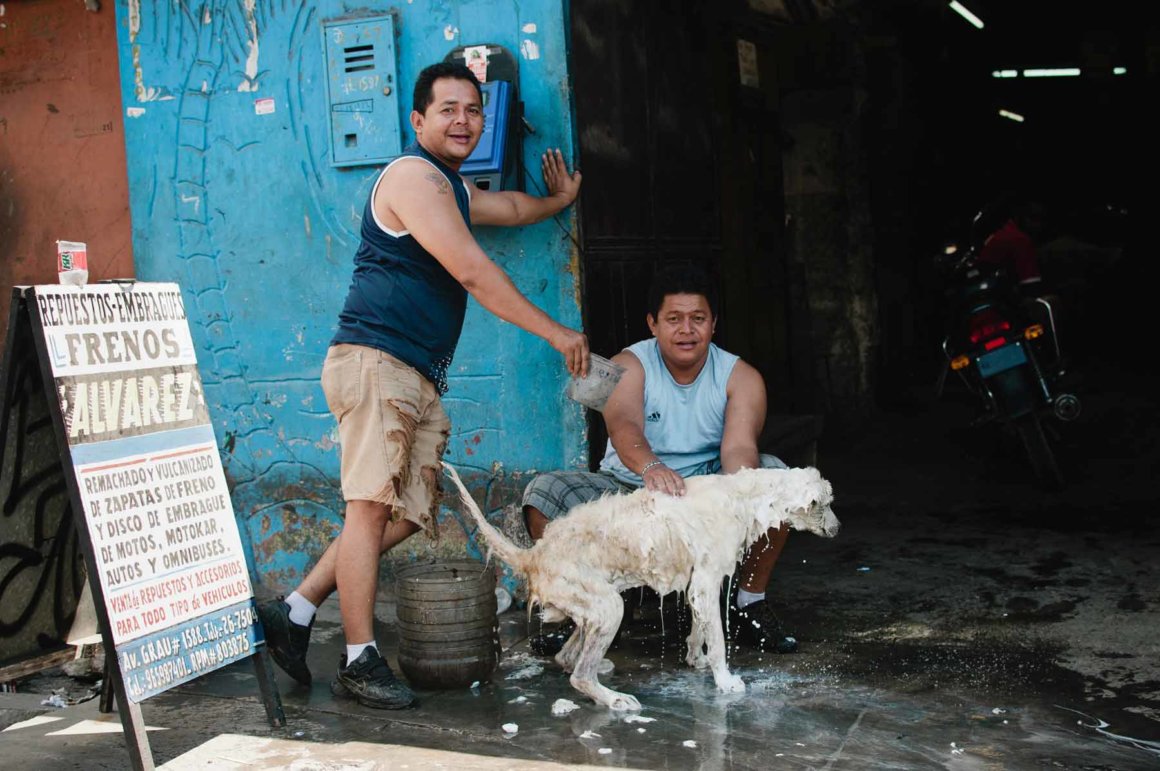 The Agora School for Global Leadership