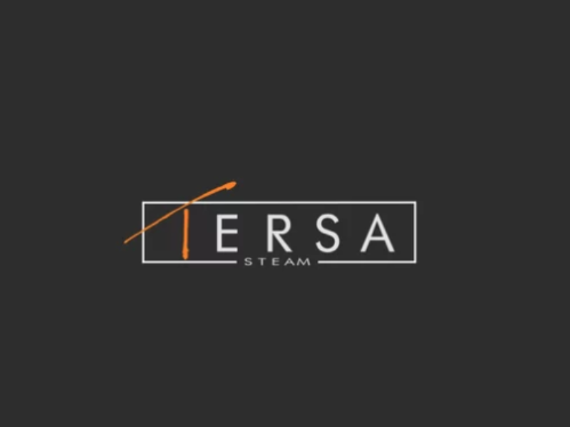 TERSA Steam | Professional Services